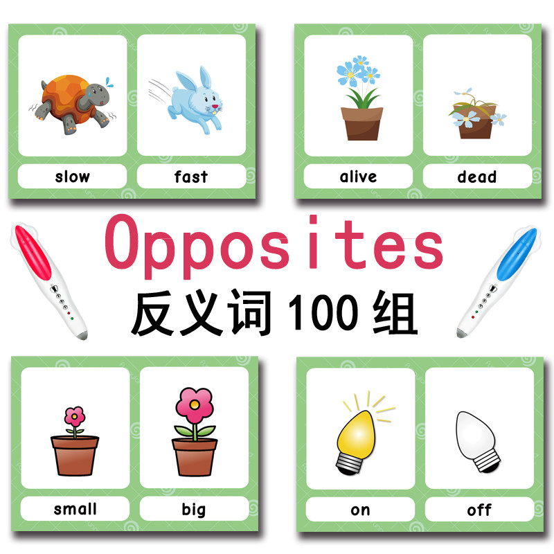 The 100 Groups Opposites Flash - огляд і ціна Kids Education App