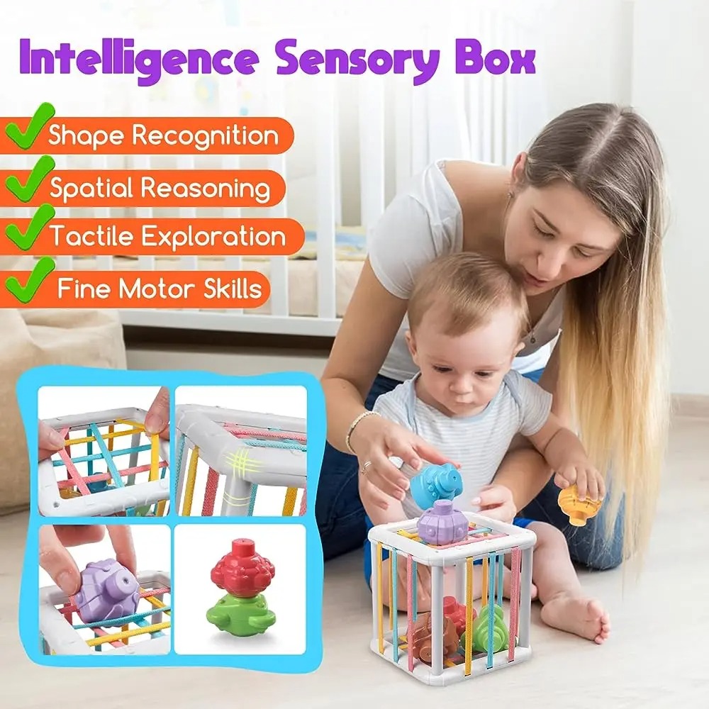 Rainbow Colorful Montessori Sh - огляд і ціна Kids Home Education