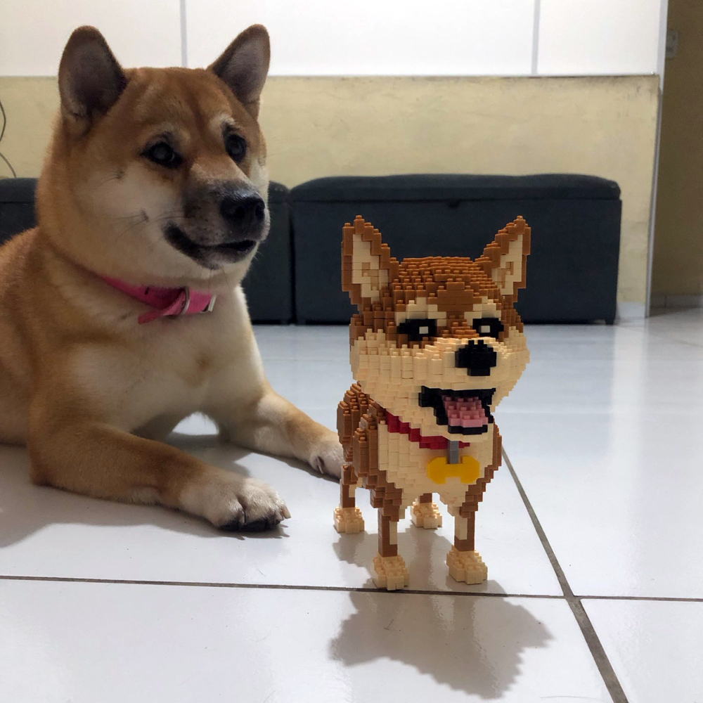 KNEW BUILT Shiba Inu Dogs Mode - огляд і ціна Kids Education Recreation