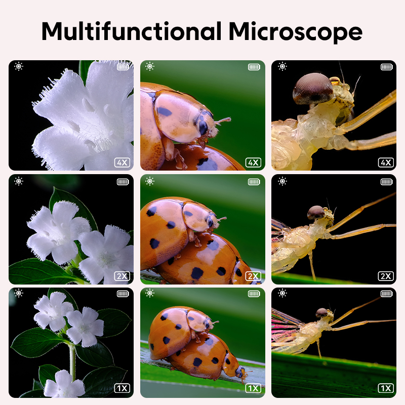 Mini Kids Optical Microscope W - огляд і ціна Kids Education Video