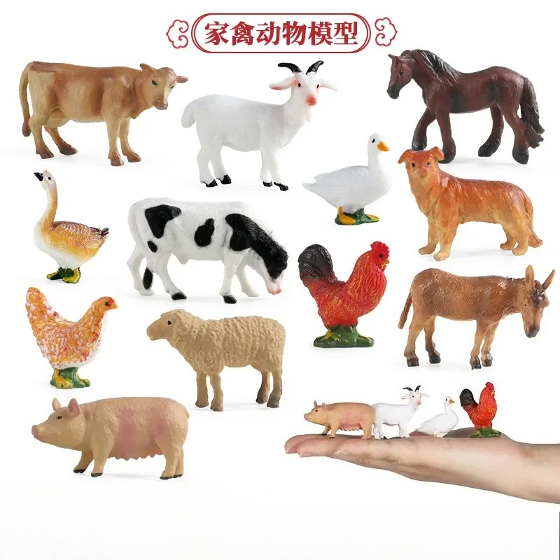 Education Teaching Tool Poultr - огляд і ціна Kids Education Tools